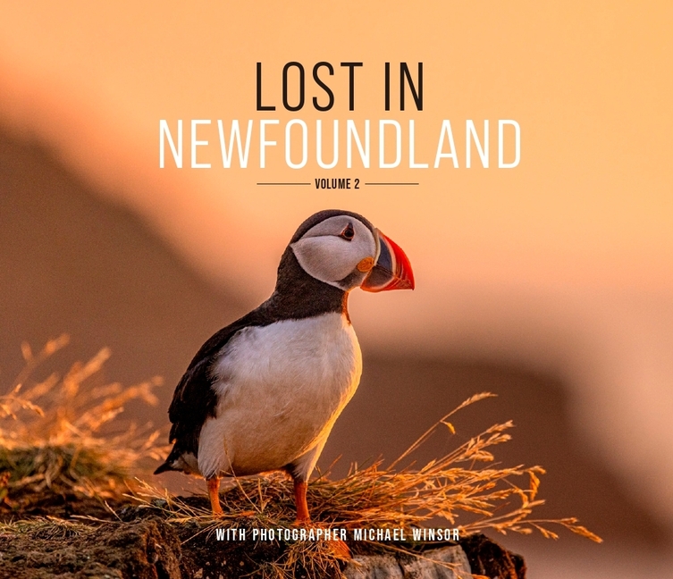 Lost in Newfoundland: Volume 2