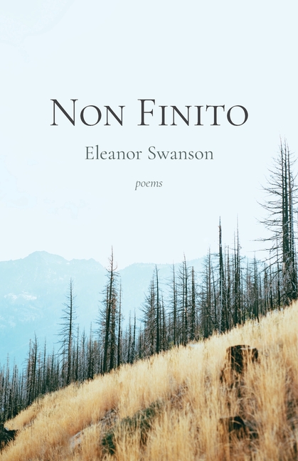 Non Finito