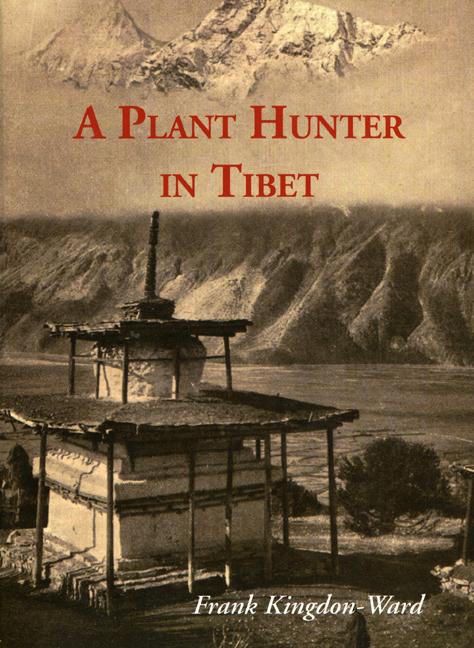 A Plant Hunter In Tibet