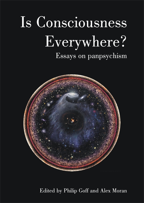 Is Consciousness Everywhere?: Essays in Panpsychism