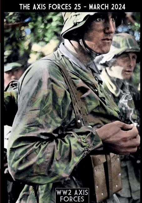 The Axis Forces 25