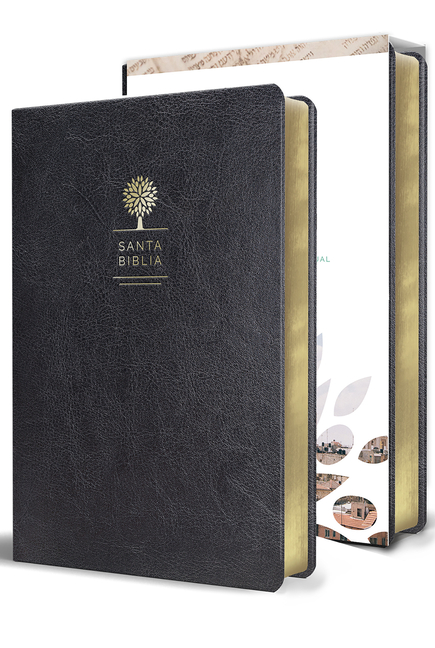 Biblia Reina Valera 1960 Letra Grande. Símil Piel Color Negro, Tamaño Manual / Spanish Holy Bible Rvr 1960. Handy Size, Large Print, Black Leathersoft