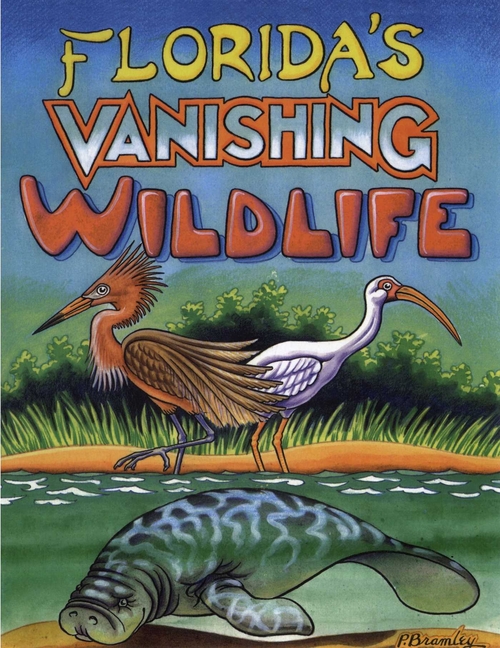 Florida's Vanishing Wildlife