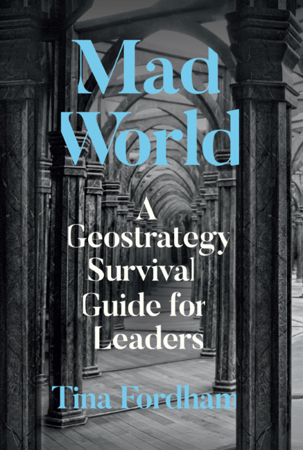 Mad World: A Geostrategy Survival Guide for Leaders