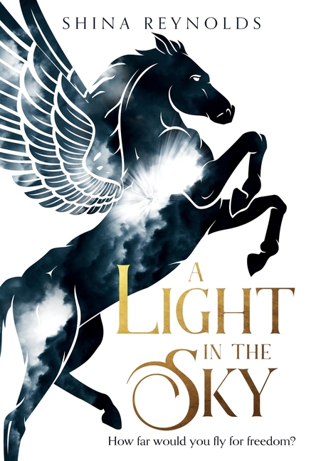 A Light in the Sky