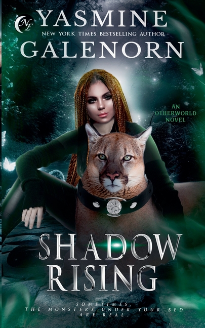 Shadow Rising: An Otherworld Novel
