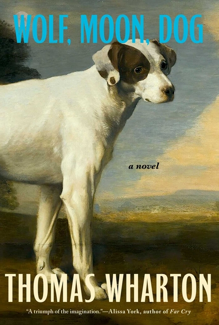 Wolf, Moon, Dog