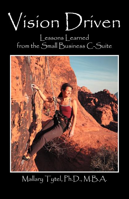 Vision Driven: Lessons Learned from the Small Business Isuite