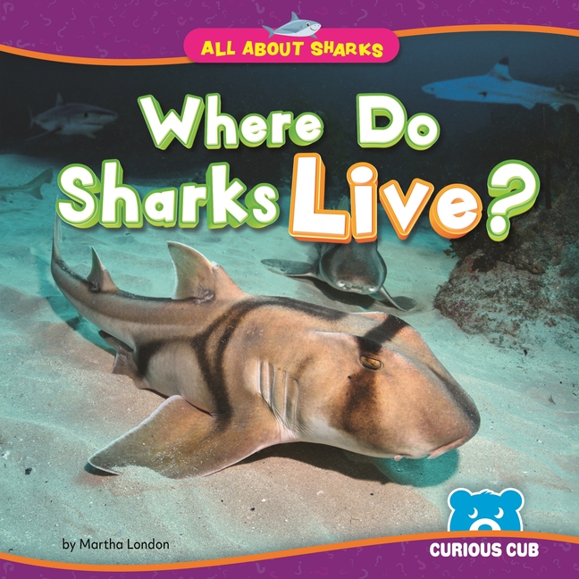 Where Do Sharks Live?