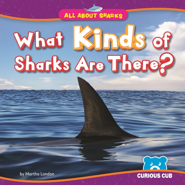 What Kinds of Sharks Are There?