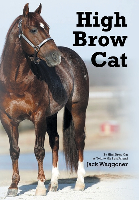 High Brow Cat