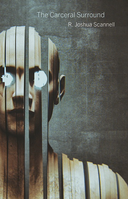 The Carceral Surround