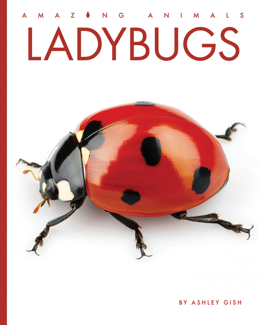 Ladybugs