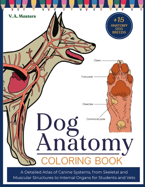 Dog Anatomy Coloring Book: A Detailed Atlas of Canine Systems, from Skeletal and Muscular Structures to Internal Organs for Students and Vets