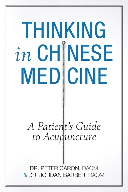 Thinking In Chinese Medicine: A Patient's Guide to Acupuncture