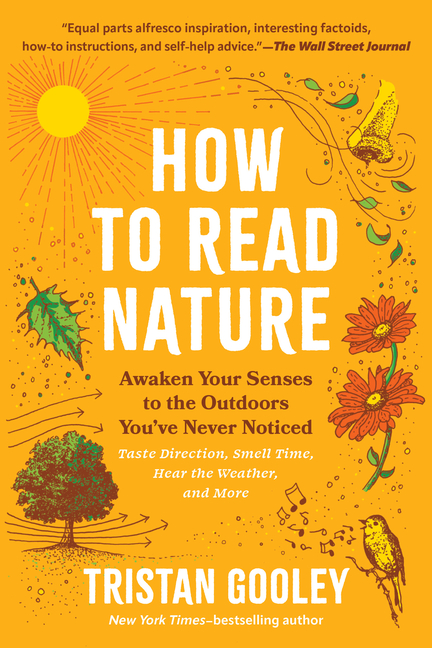 How to Read Nature: Awaken Your Senses to the Outdoors You've Never Noticed