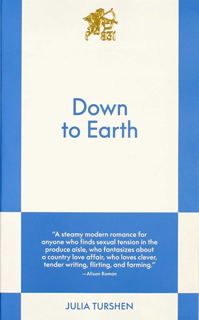 Down to Earth: An 831 Stories Romance