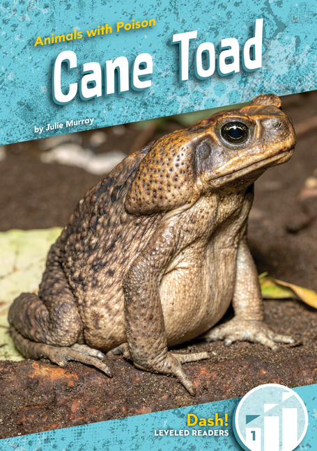 Cane Toad