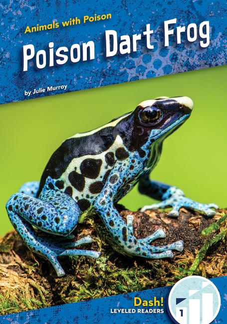 Poison Dart Frog