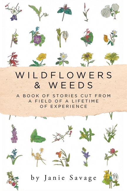 Wildflowers and Weeds