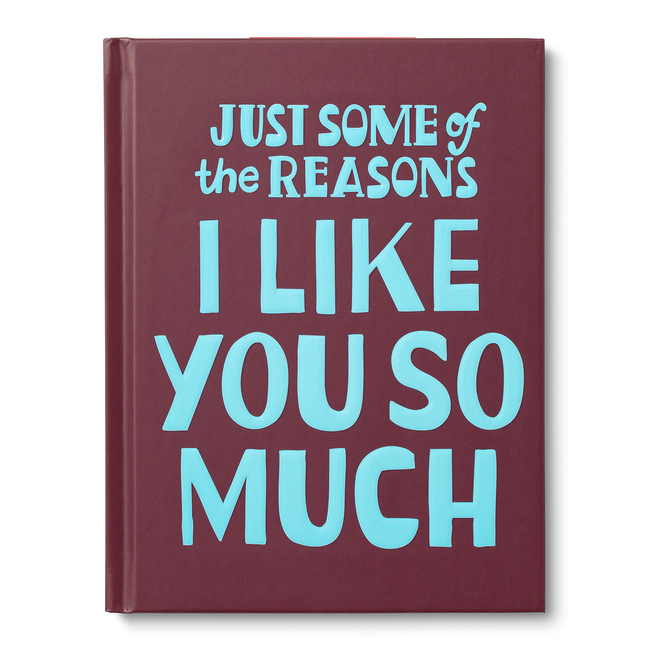 Just Some of the Reasons I Like You So Much
