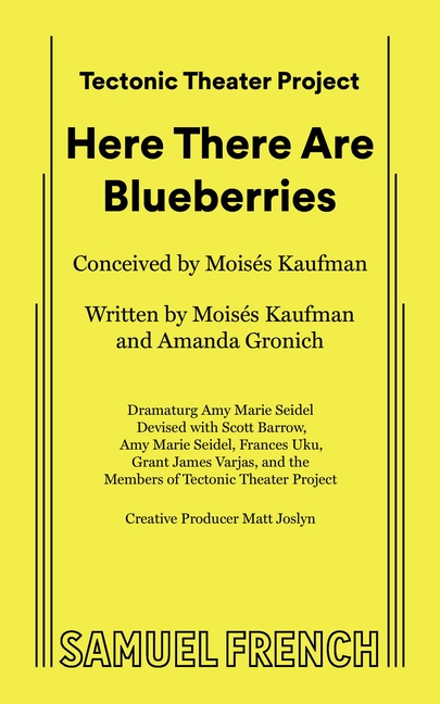 Here There Are Blueberries