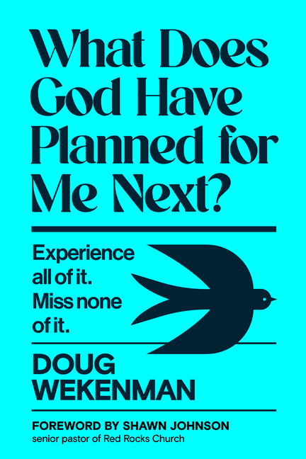 What Does God Have Planned for Me Next?: Experience All of It. Miss None of It.