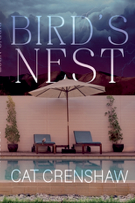 Bird's Nest