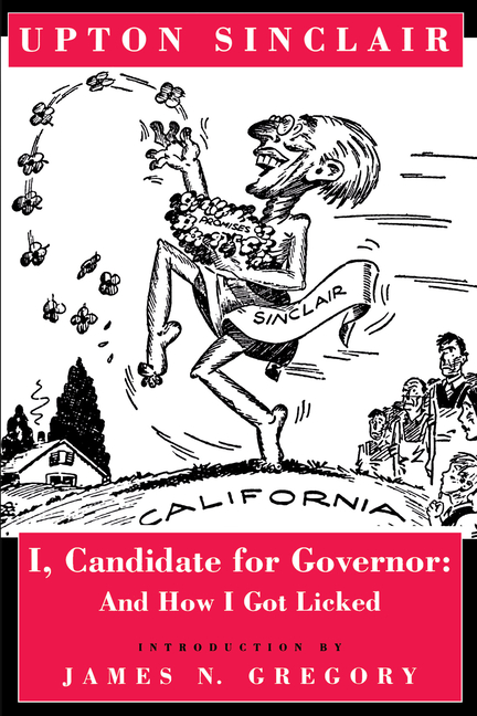 I, Candidate for Governor: And How I Got Licked