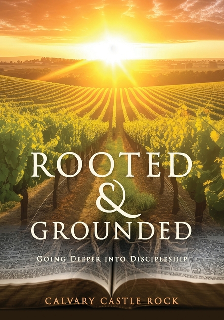 Rooted and Grounded: Going Deeper Into Discipleship