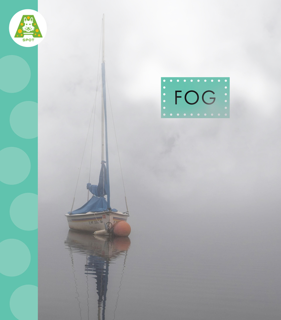 Fog
