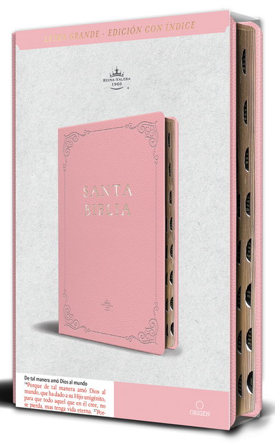 Biblia Rvr 1960 Letra Grande Tamaño Manual, Piel Rosada Con Ã-Ndice / Spanish Bible Rvr 1960 Handy Size Large Print Leathersoft Pink with Index