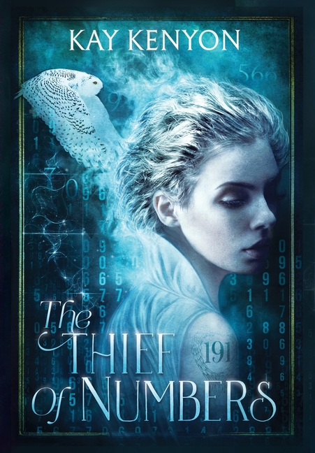 The Thief of Numbers