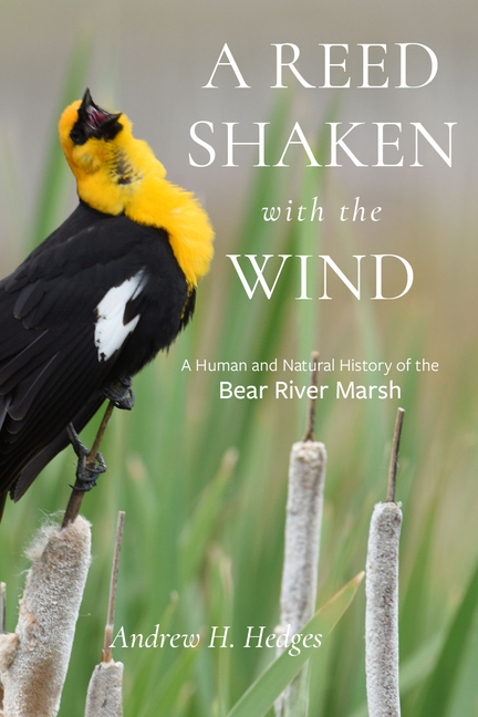 A Reed Shaken with the Wind: A Human and Natural History of the Bear River Marsh