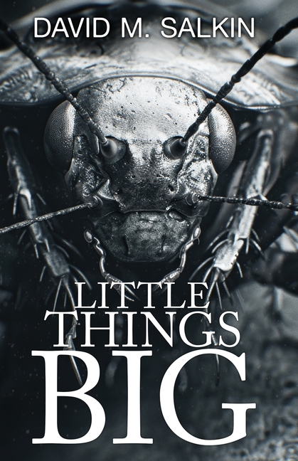 Little Things Big