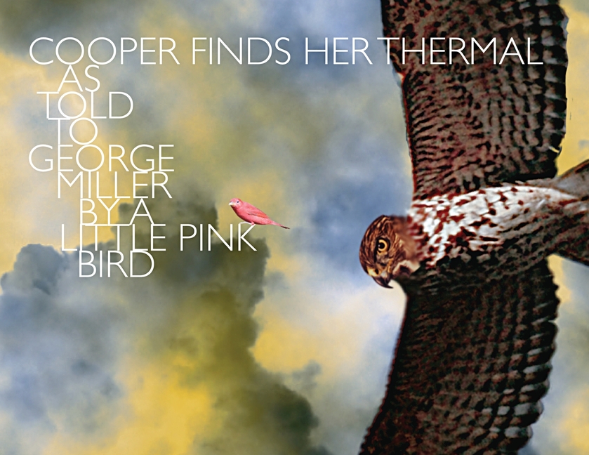 Cooper Finds Her Thermal: As Told to George Miller by a Little Pink Bird