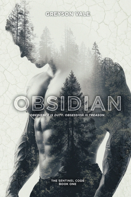 Obsidian: A Dark MM Romance