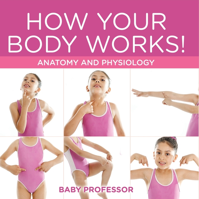 How Your Body Works! Anatomy and Physiology