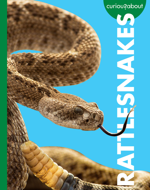 Curious about Rattlesnakes