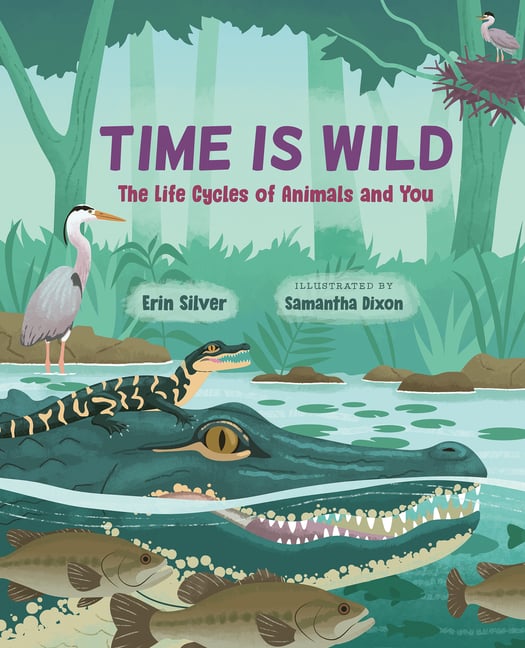 Time Is Wild: The Life Cycles of Animals and You