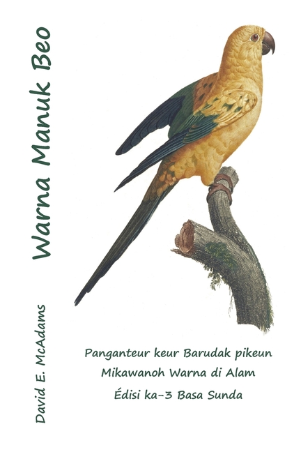 Warna Manuk Beo: Panganteur keur Barudak pikeun Mikawanoh Warna di Alam