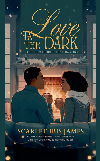 Love In The Dark: A Holiday Romance for Grown-Ups