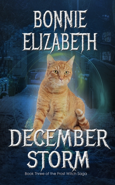 December Storm