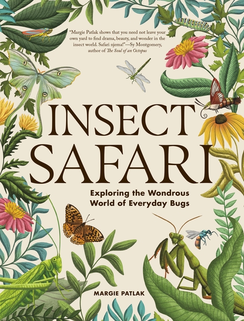 Insect Safari: Exploring the Wondrous World of Everyday Bugs