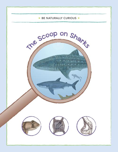 The Scoop on Sharks