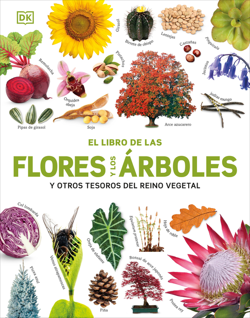 El Libro de Las Flores Y Los Árboles (Our World in Pictures: Trees, Leaves, Flowers & Seeds)