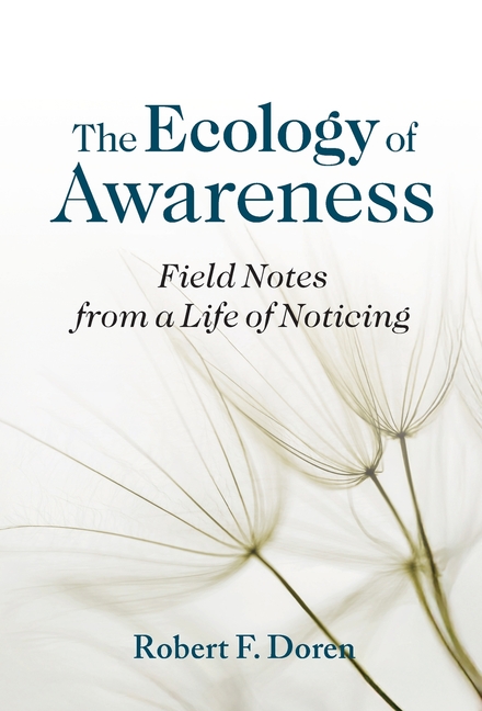 The Ecology of Awareness: Field Notes from a Life of Noticing