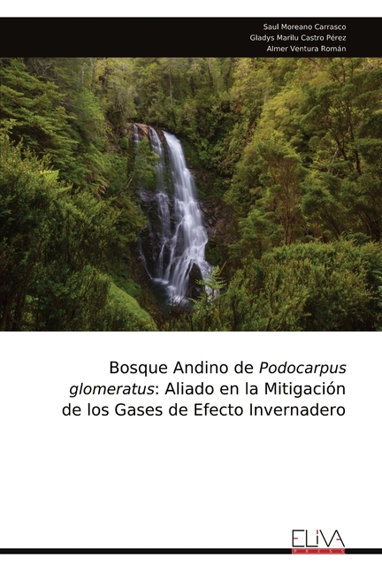 Bosque Andino de Podocarpus glomeratus: Aliado en la Mitigación de los Gases de Efecto Invernadero