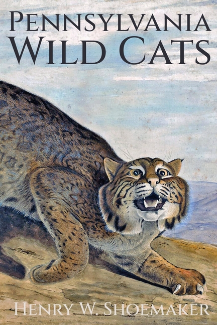 Pennsylvania Wild Cats