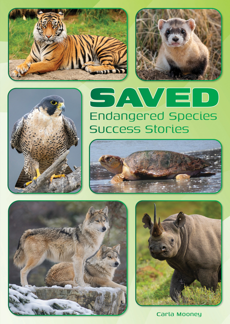 Saved: Endangered Species Success Stories